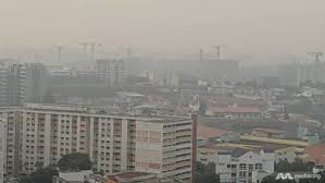 You are currently viewing 花园城市的洁癖