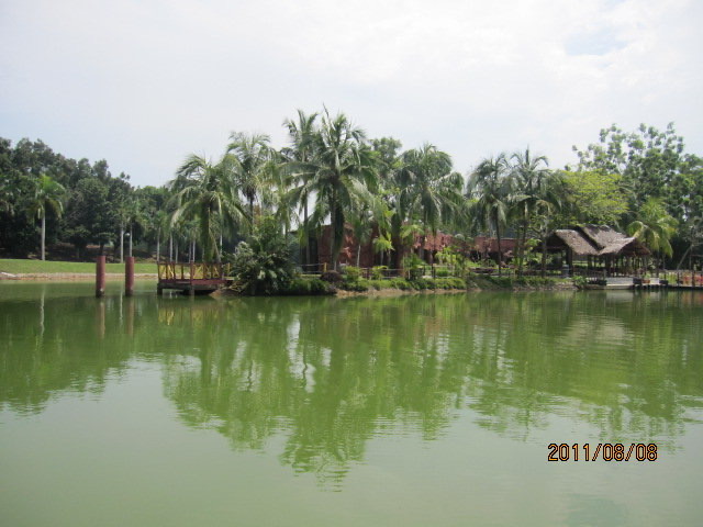 AfamosaZoo-02.jpeg AfamosaZoo 02