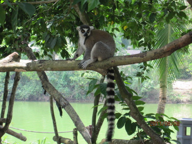 AfamosaZoo-08.jpeg AfamosaZoo 08