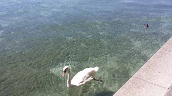 Annecy-03.jpeg Annecy 03