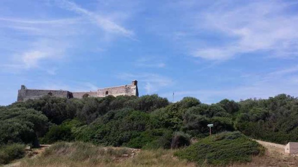 AntibesGrass-01.jpeg AntibesGrass 01