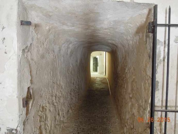 AntibesGrass-08.jpeg AntibesGrass 08