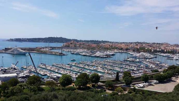 AntibesGrass-12.jpeg AntibesGrass 12