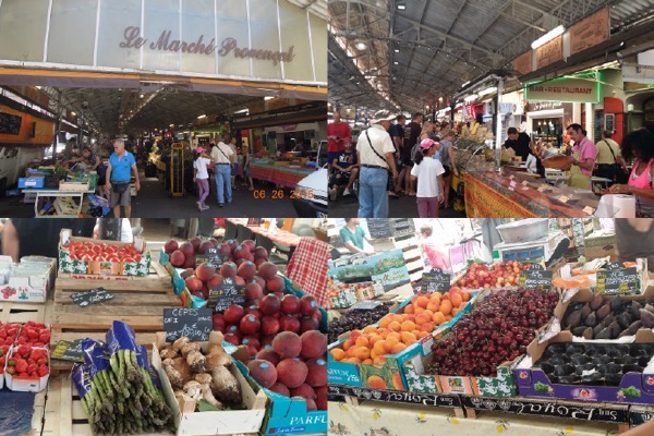 AntibesGrass-21.jpeg AntibesGrass 21