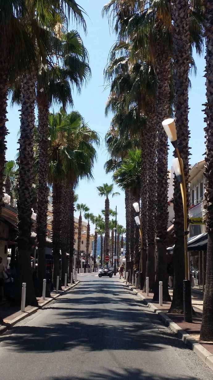 AntibesGrass-24.jpeg AntibesGrass 24