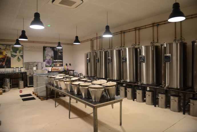 AntibesGrass-35.jpeg AntibesGrass 35