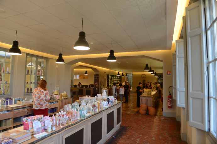 AntibesGrass-36.jpeg AntibesGrass 36