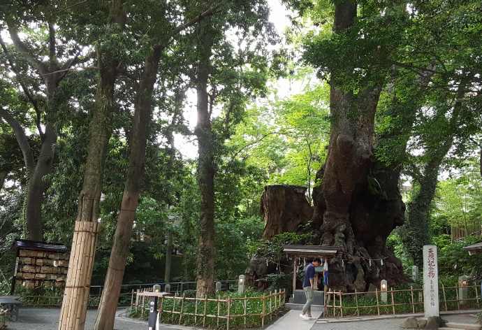 AtamiJR-12.jpeg AtamiJR 12