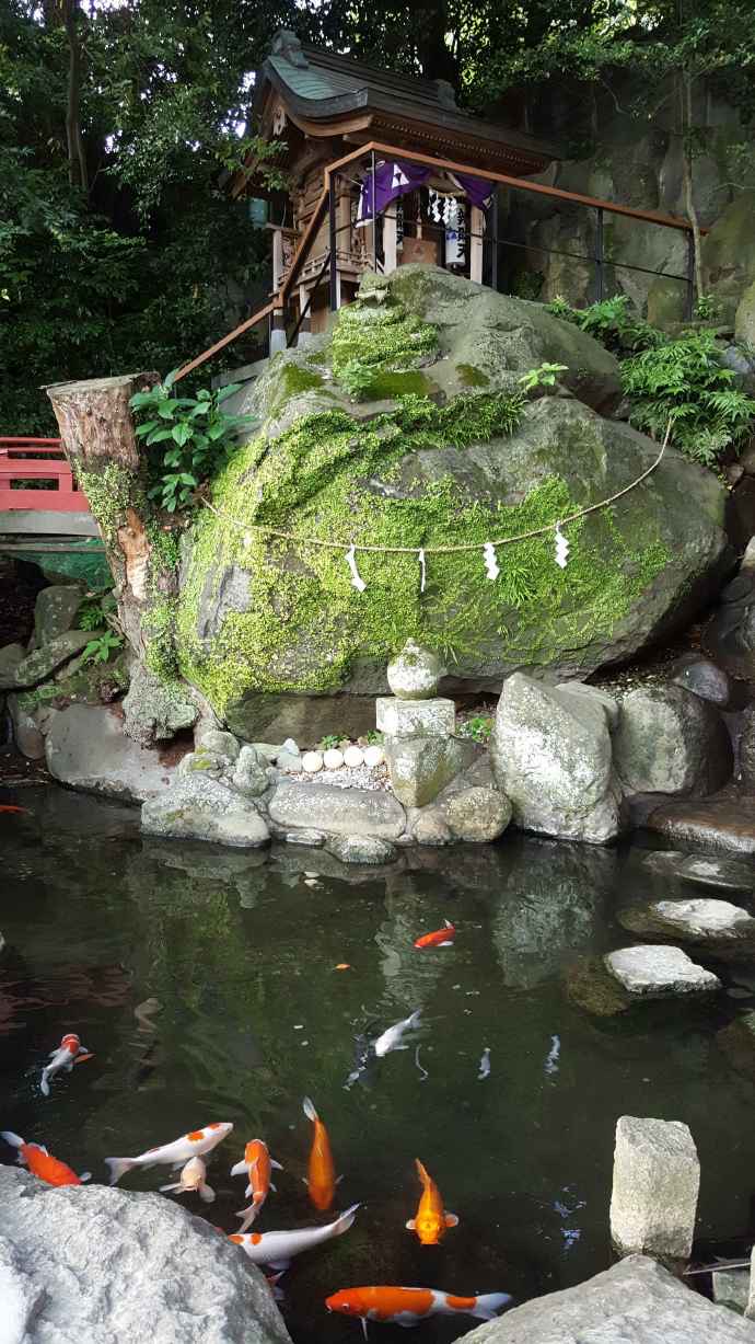 AtamiJR-14.jpeg AtamiJR 14