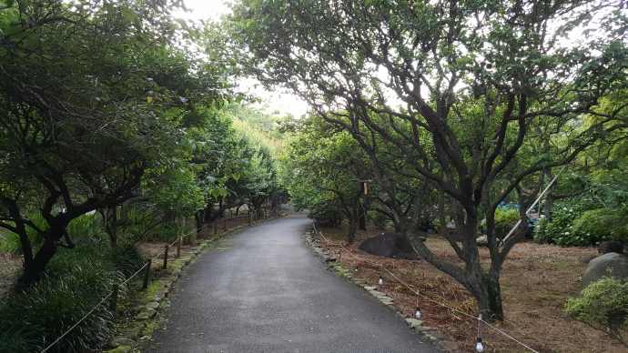 AtamiJR-17.jpeg AtamiJR 17