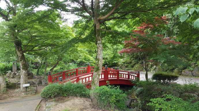 AtamiJR-18.jpeg AtamiJR 18