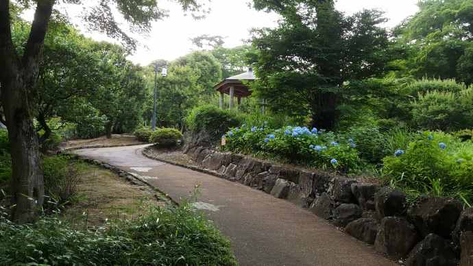 AtamiJR-19.jpeg AtamiJR 19