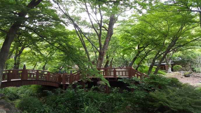 AtamiJR-20.jpeg AtamiJR 20