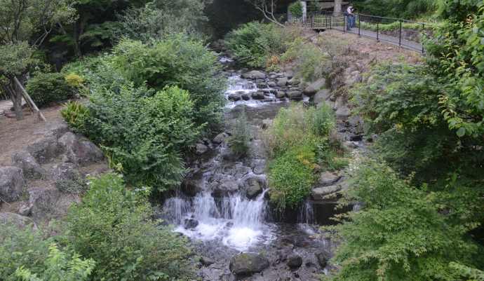 AtamiJR-22.jpeg AtamiJR 22