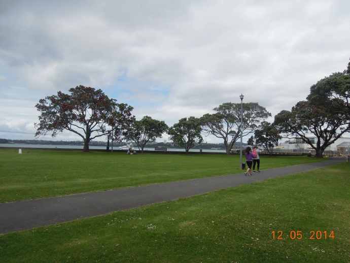 Aucland-06.jpeg Aucland 06