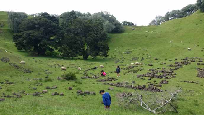 Aucland-15.jpeg Aucland 15