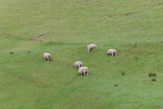 Aucland-17.jpeg Aucland 17