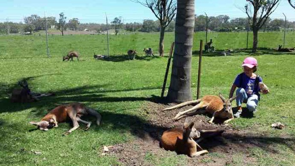 AusFarm-002.jpeg AusFarm 002