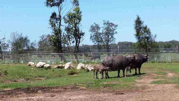 AusFarm-003.jpeg AusFarm 003