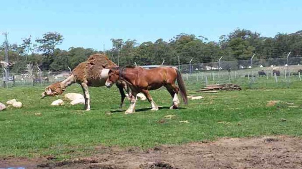 AusFarm-004.jpeg AusFarm 004