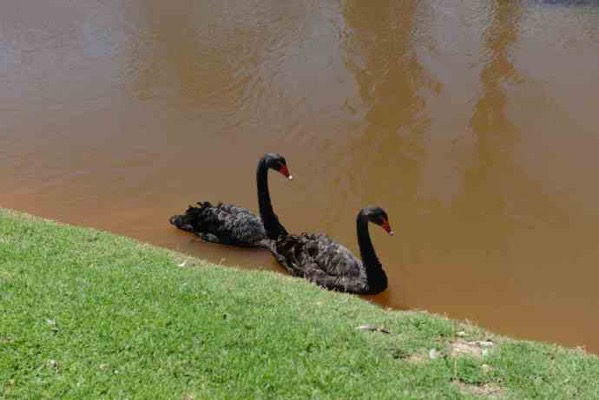 AusFarm-006.jpeg AusFarm 006