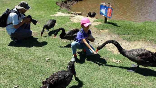 AusFarm-007.jpeg AusFarm 007