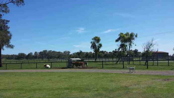 AusFarm-011.jpeg AusFarm 011