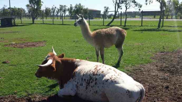 AusFarm-012.jpeg AusFarm 012