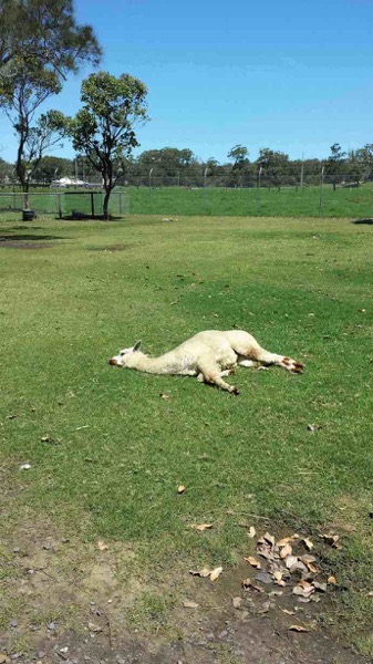 AusFarm-013.jpeg AusFarm 013