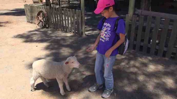 AusFarm-014.jpeg AusFarm 014