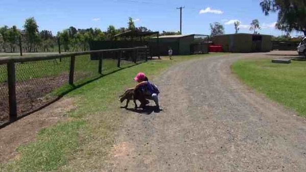 AusFarm-015.jpeg AusFarm 015