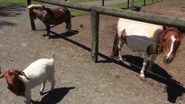 AusFarm-016.jpeg AusFarm 016