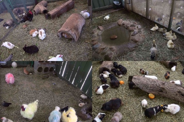 AusFarm-018.jpeg AusFarm 018