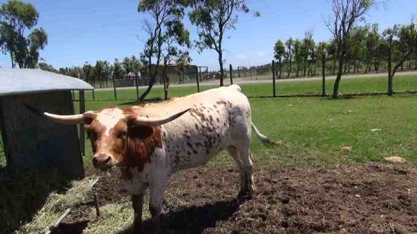 AusFarm-019.jpeg AusFarm 019