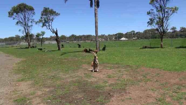 AusFarm-020.jpeg AusFarm 020