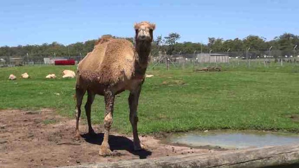 AusFarm-021.jpeg AusFarm 021