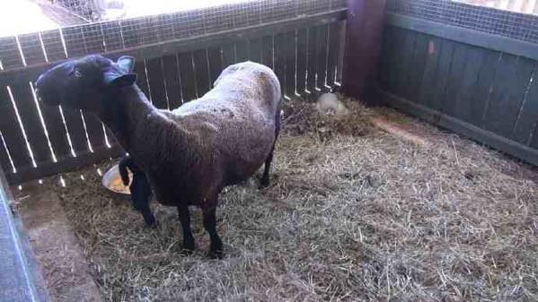 AusFarm-023.jpeg AusFarm 023