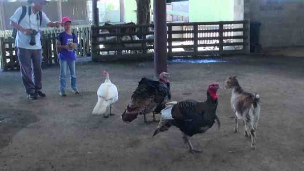 AusFarm-024.jpeg AusFarm 024