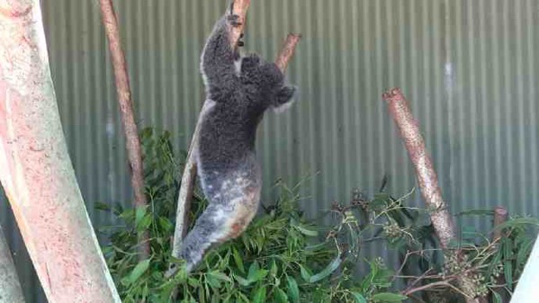 AusFarm-025.jpeg AusFarm 025