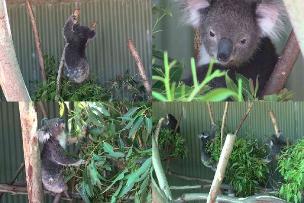 AusFarm-026.jpeg AusFarm 026