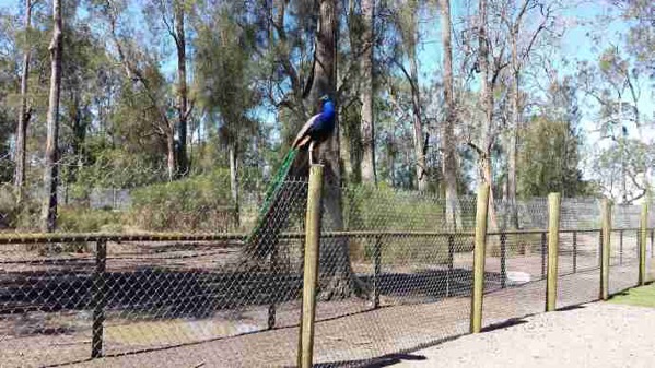 AusFarm-027.jpeg AusFarm 027