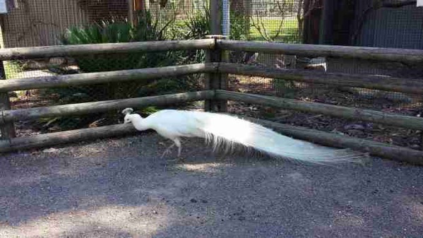 AusFarm-028.jpeg AusFarm 028