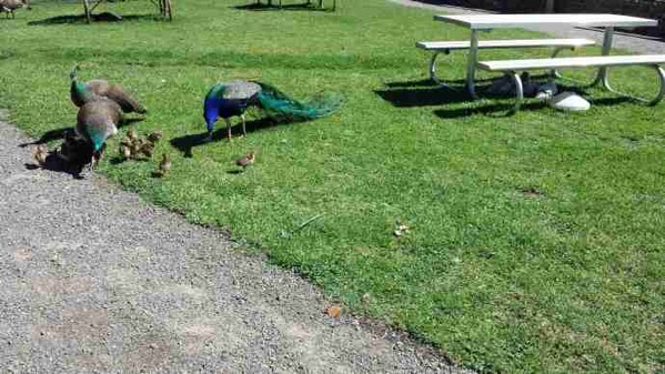 AusFarm-029.jpeg AusFarm 029