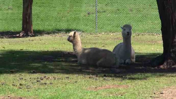 AusFarm-030.jpeg AusFarm 030