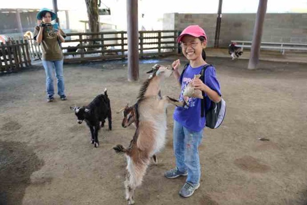 AusFarm-031.jpeg AusFarm 031