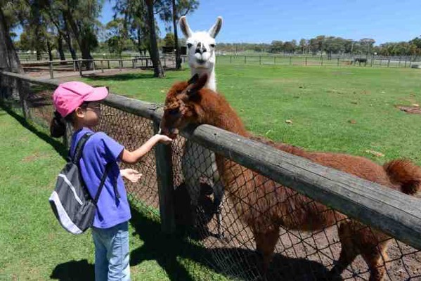 AusFarm-032.jpeg AusFarm 032