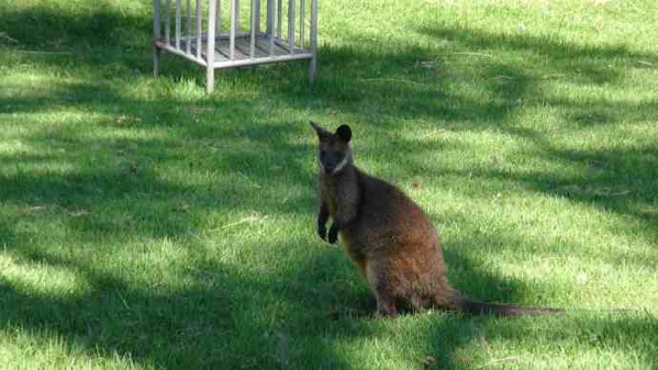 AusFarm-033.jpeg AusFarm 033