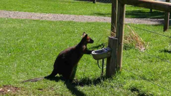 AusFarm-034.jpeg AusFarm 034