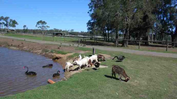 AusFarm-035.jpeg AusFarm 035