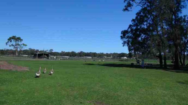 AusFarm-036.jpeg AusFarm 036